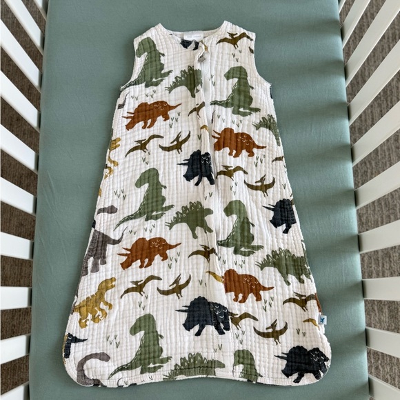 Little Unicorn Earth Tone Dinosaurs, 6-12 Months / 16-24lbs - Picture 1 of 8